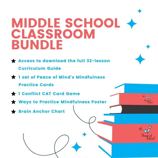 Bundle: Grades 6-8 Classroom Bundle - Image 2