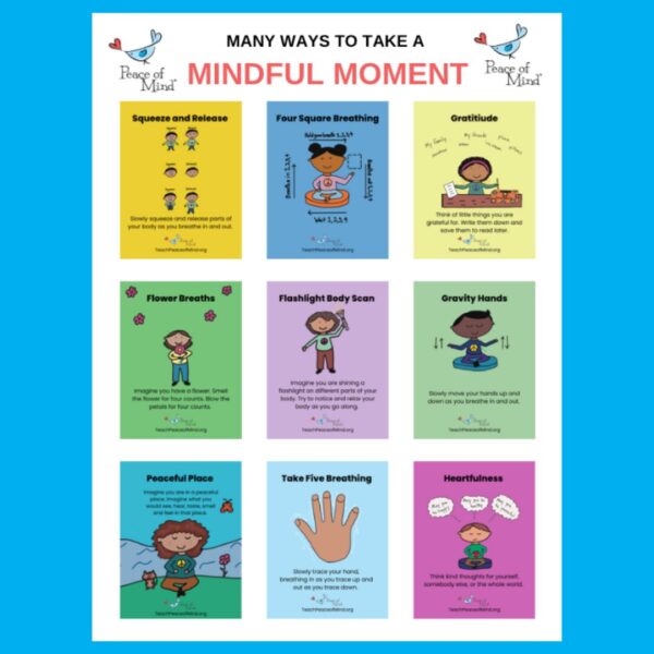 Mindful Moment Poster
